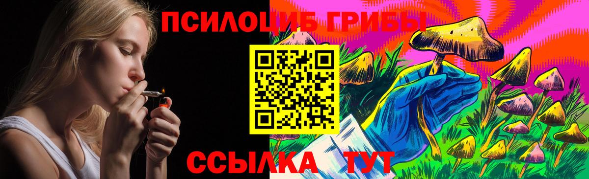 Шахты  Галлюциногенные грибы прущие грибы  продажа наркотиков  Вход с VPN 